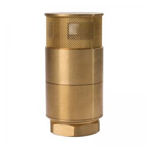 1 inch Dual Brass Foot Valve Foot Check Bottom Valve