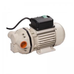 AdBlue Chemical Pump 220V Transfer Pump Electric UREA Pump Equipment