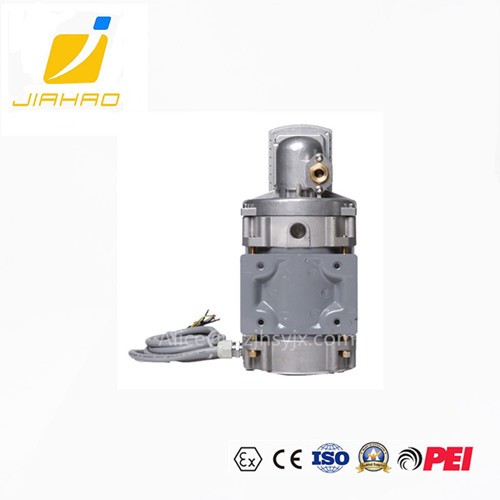 Ex-proof High Flow Rate DURR Fuel Dispenser Vacuum Pump