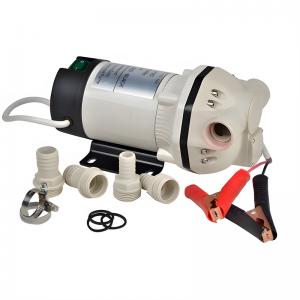 Suzzara Blue DC AdBlue Pump 12v 24v Suzzara Blue DC AdBlue Pump 12v 24v